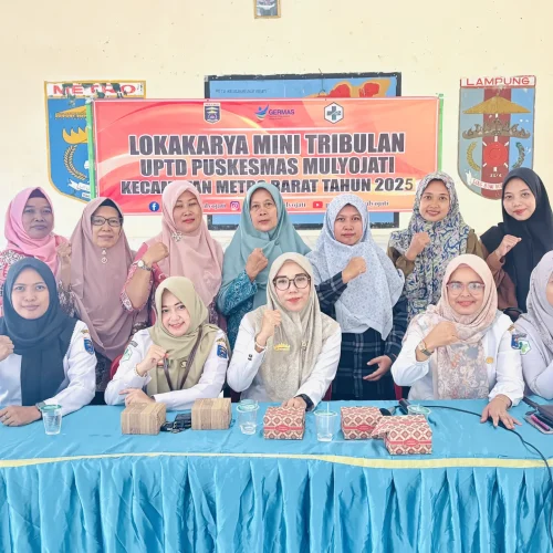 Persiapan Lomba Posyandu Berprestasi Tingkat Provinsi: Dinkes Metro Sosialisasikan Kembali 25 Kompetensi Kader,Apa Itu Tanda Kecakapan Kader Purwa, Madya, dan Utama?”