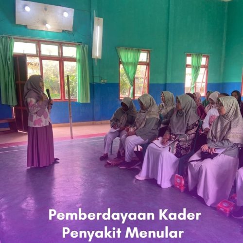 Pemberdayaan Kader Penyakit Menular